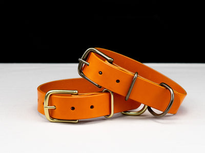 Leather Belt Dog Collar - Carrot Orange English Bridle Leather - Atlas Leathercraft - Handmade Australian Leather Goods