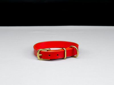 Leather Belt Dog Collar - Chili Pepper Red English Bridle Leather - Atlas Leathercraft - Handmade Australian Leather Goods