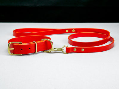 Leather Belt Dog Collar & Lead Combo - Chili Pepper Red English Bridle Leather - Atlas Leathercraft - Handmade Australian Leather Goods