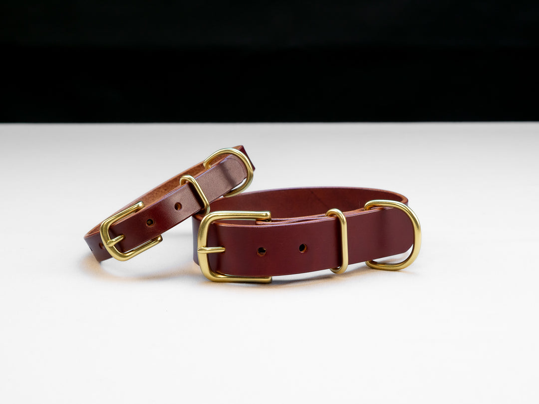 Leather brass shops dog collar