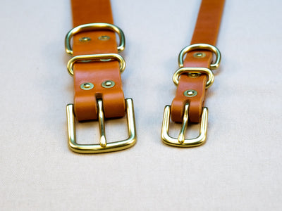 Leather Belt Dog Collar - Tan English Bridle Leather - Atlas Leathercraft - Handmade Australian Leather Goods
