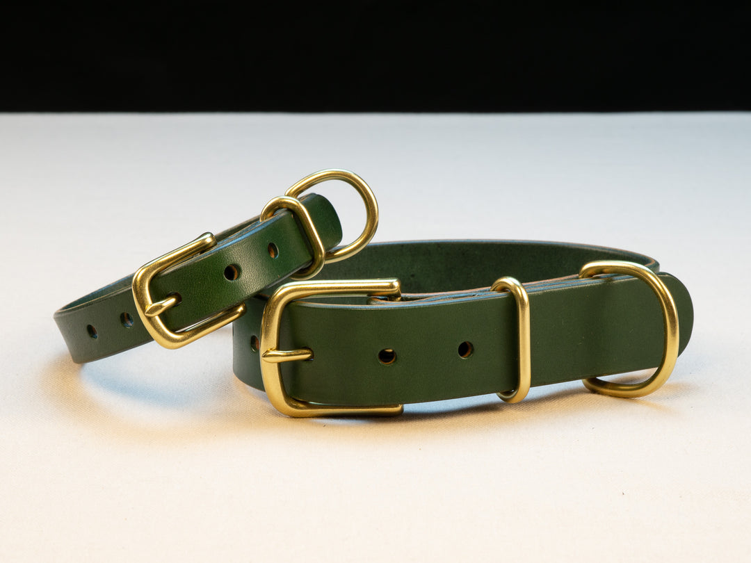 English bridle leather dog collar best sale