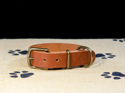 Leather Belt Dog Collar - Medium Brown English Bridle Leather - Atlas Leathercraft - Handmade Australian Leather Goods