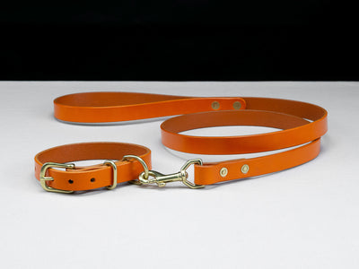 Leather Belt Dog Collar & Lead Combo - Carrot Orange English Bridle Leather - Atlas Leathercraft - Handmade Australian Leather Goods