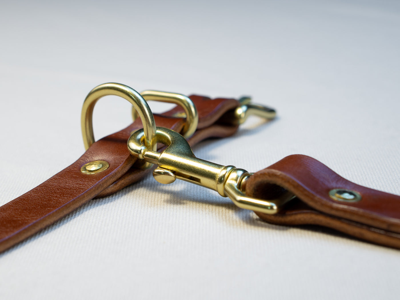 Leather Belt Dog Collar & Lead Combo - Medium Brown English Bridle Leather - Atlas Leathercraft - Handmade Australian Leather Goods