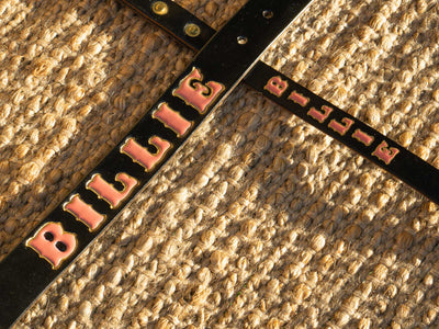 Leather Belt Personalised Dog Collar & Lead - Natural Brass Hardware - Atlas Leathercraft - Handmade Australian Leather Goods