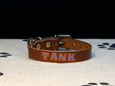 Leather Belt Personalised Dog Collar - English Bridle Leather - Atlas Leathercraft - Handmade Australian Leather Goods