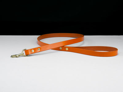 Leather Belt Dog Lead - Carrot Orange English Bridle Leather - Atlas Leathercraft - Handmade Australian Leather Goods