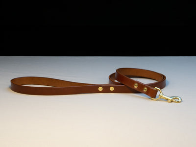 Leather Belt Dog Lead - Medium Brown English Bridle Leather - Atlas Leathercraft - Handmade Australian Leather Goods